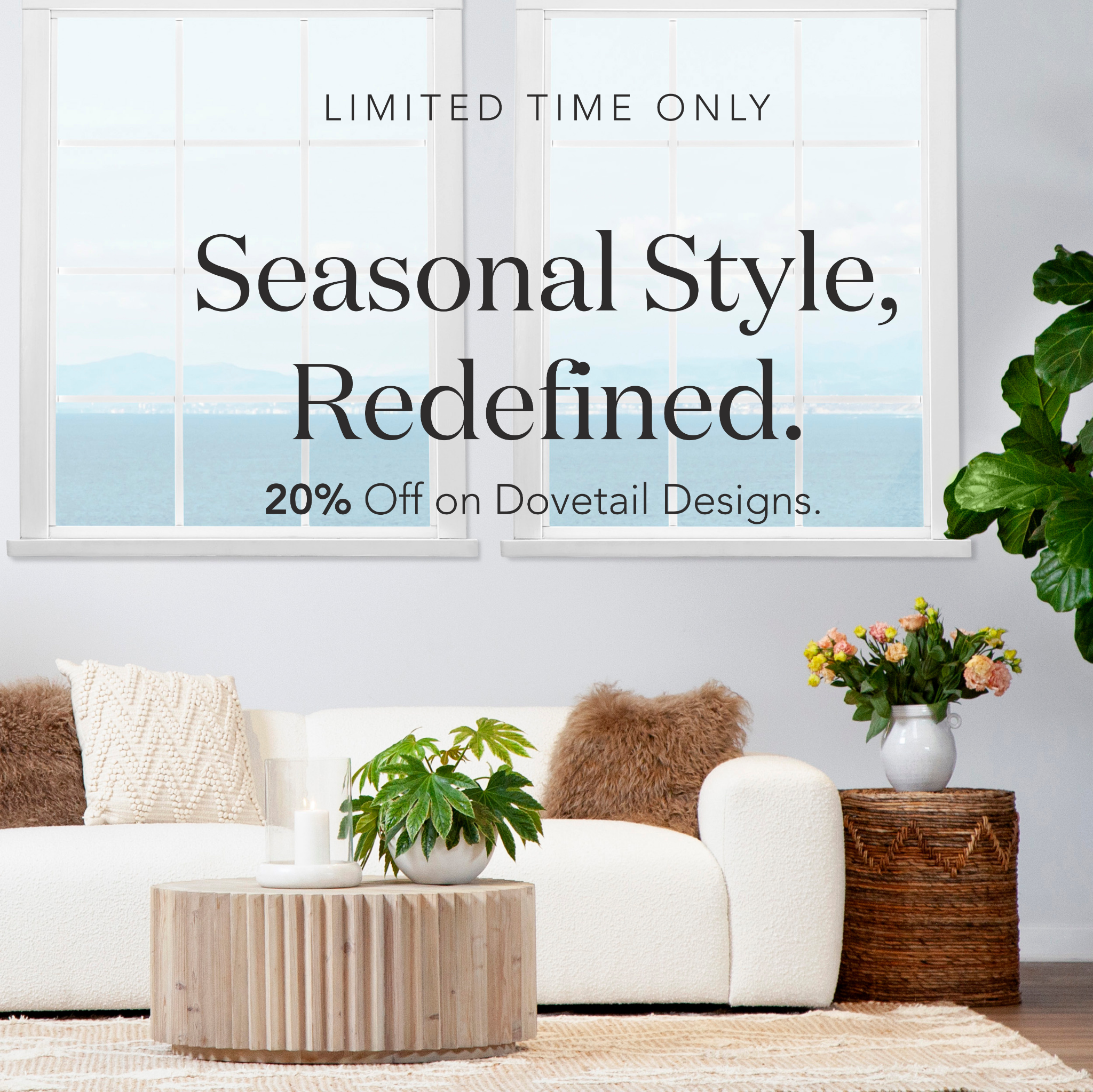 Memoky Home email marketing creative